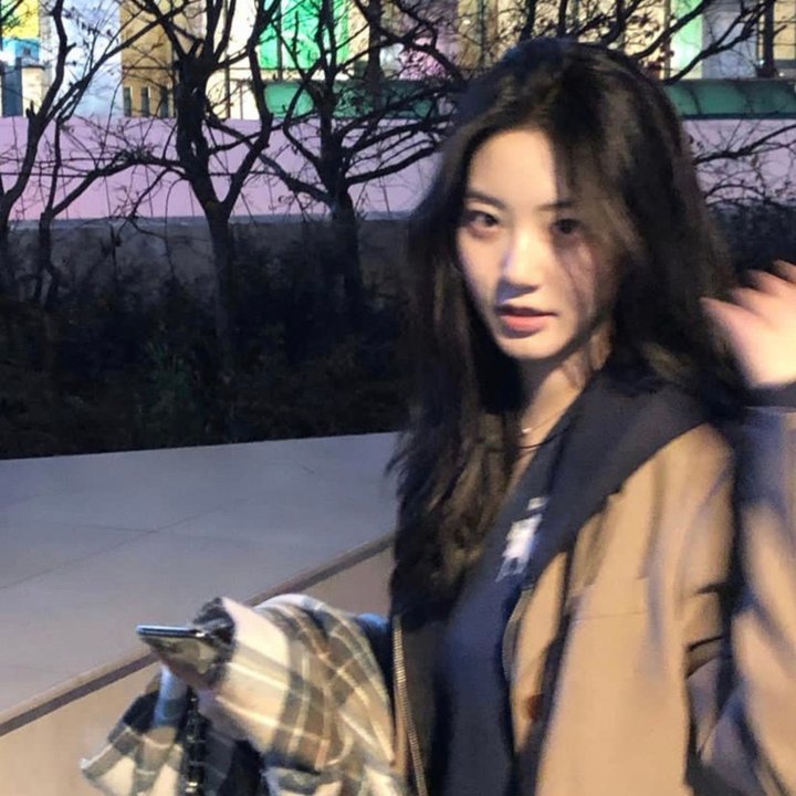 樱花律师 海报