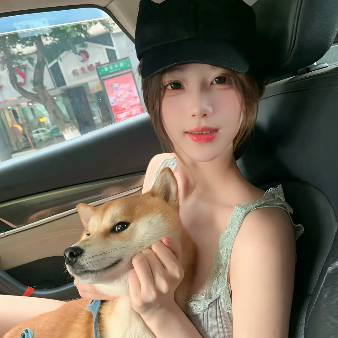 清潭回声 海报